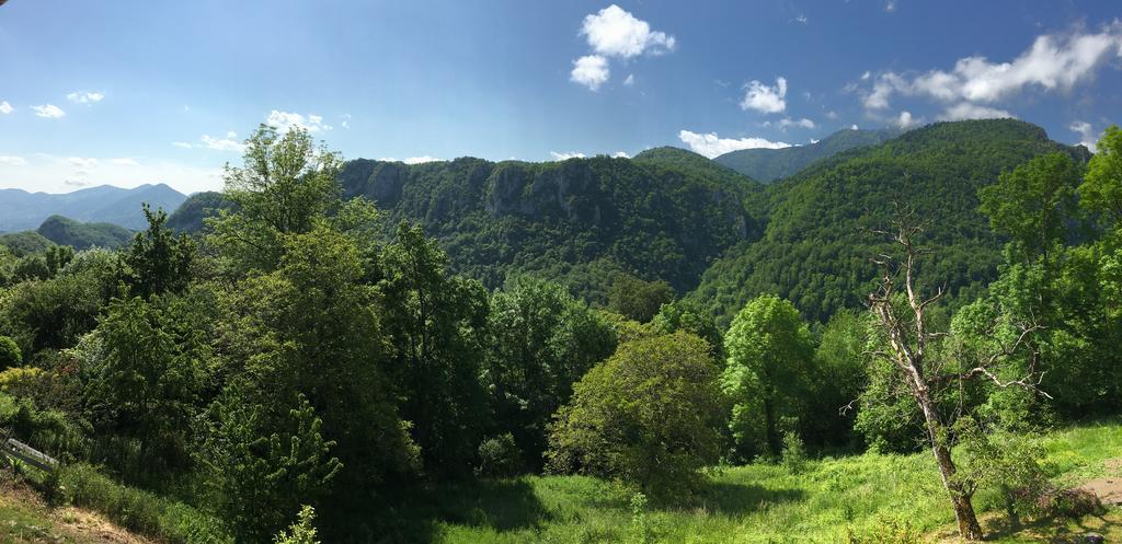 Gite de Serrelongue Montségur Exterior foto